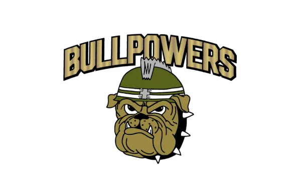 BULLPOWERS